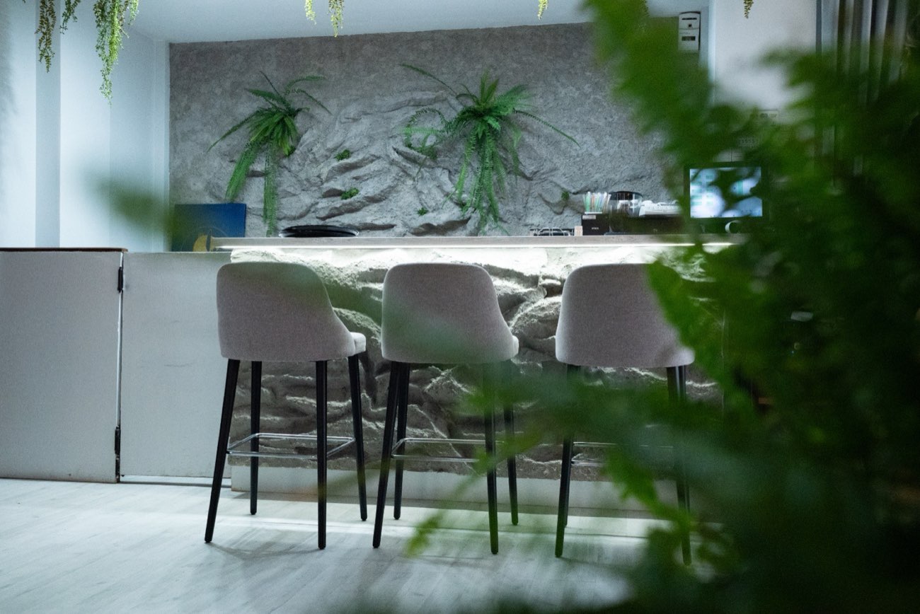 Barul restaurantului, cu scaune înalte, perete de piatră și ferigi verzi